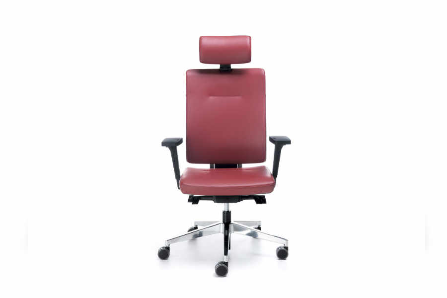 Xenon Executive Chair